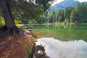 in-riva-al-lago-dei-caprioli