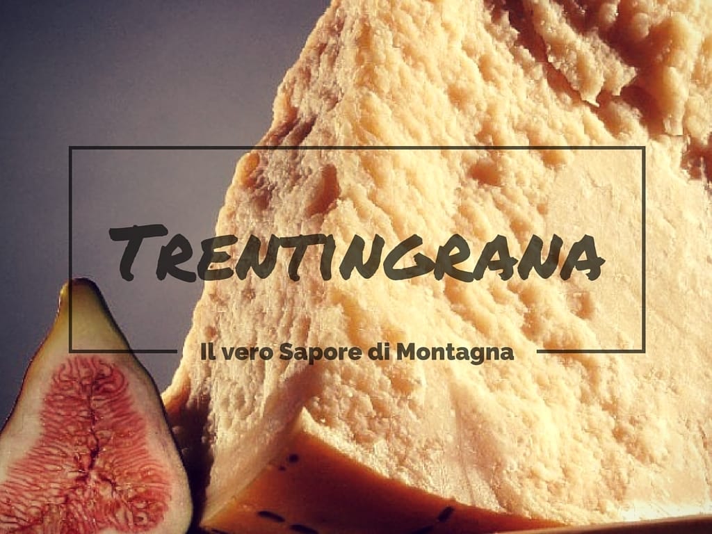 Trentingrana, il vero Sapore di Montagna