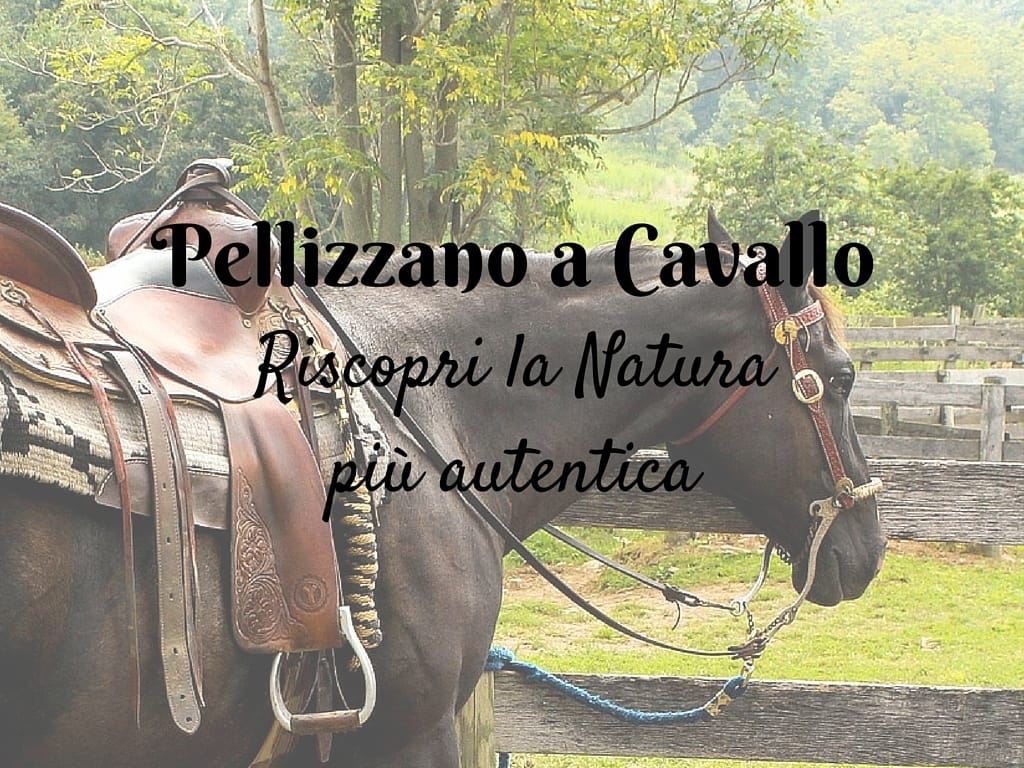 Pellizzano a Cavallo: riscopri la natura più autentica